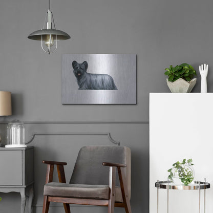 Luxe Metal Art 'Sky Terrier' by Harro Maass, Metal Wall Art,24x16
