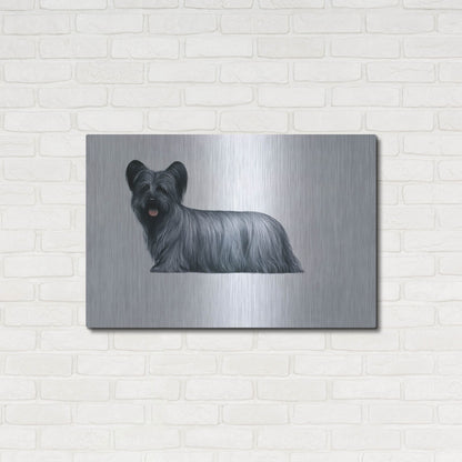 Luxe Metal Art 'Sky Terrier' by Harro Maass, Metal Wall Art,36x24