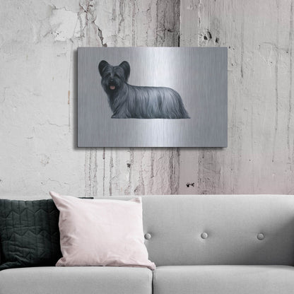 Luxe Metal Art 'Sky Terrier' by Harro Maass, Metal Wall Art,36x24