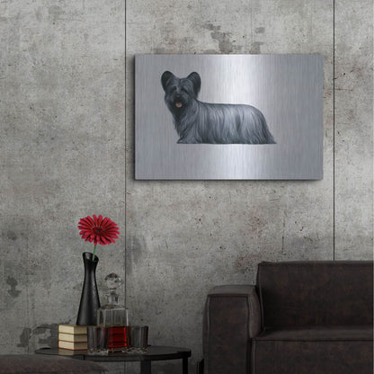 Luxe Metal Art 'Sky Terrier' by Harro Maass, Metal Wall Art,36x24