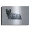 Luxe Metal Art 'Sky Terrier' by Harro Maass, Metal Wall Art