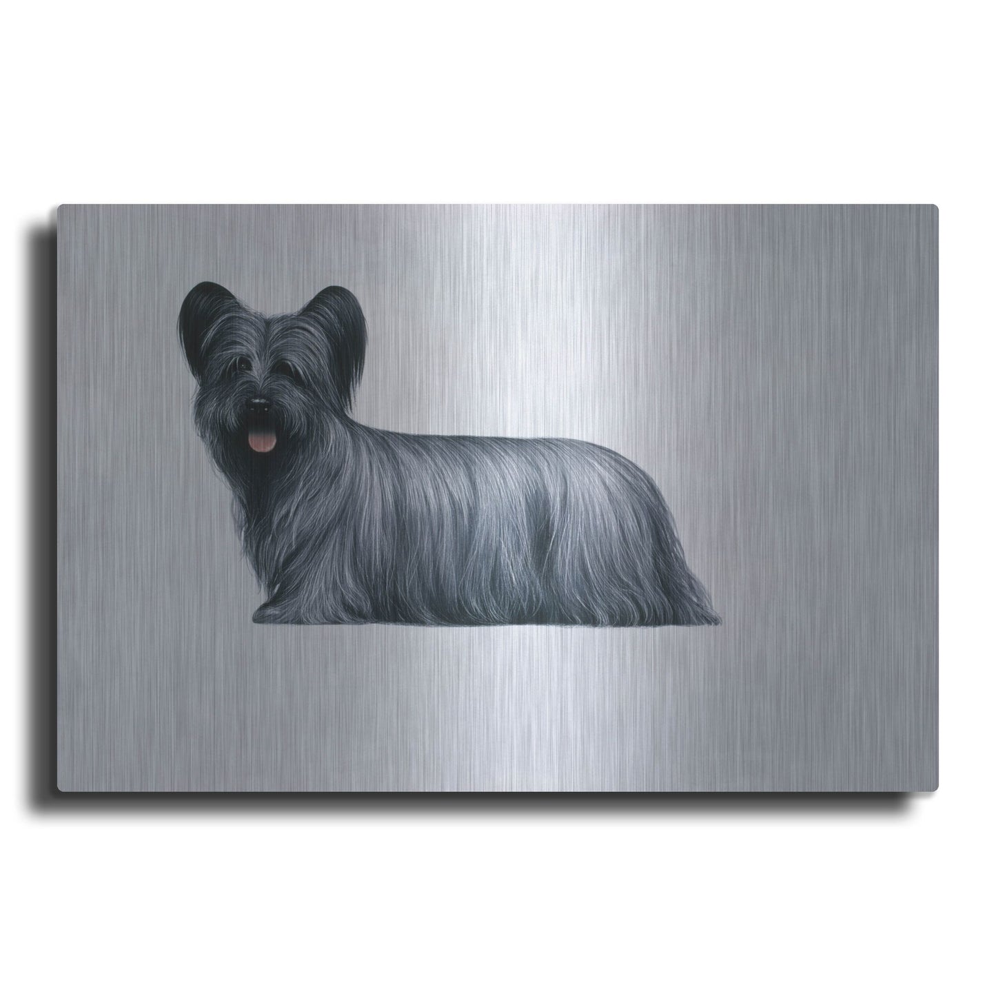 Luxe Metal Art 'Sky Terrier' by Harro Maass, Metal Wall Art