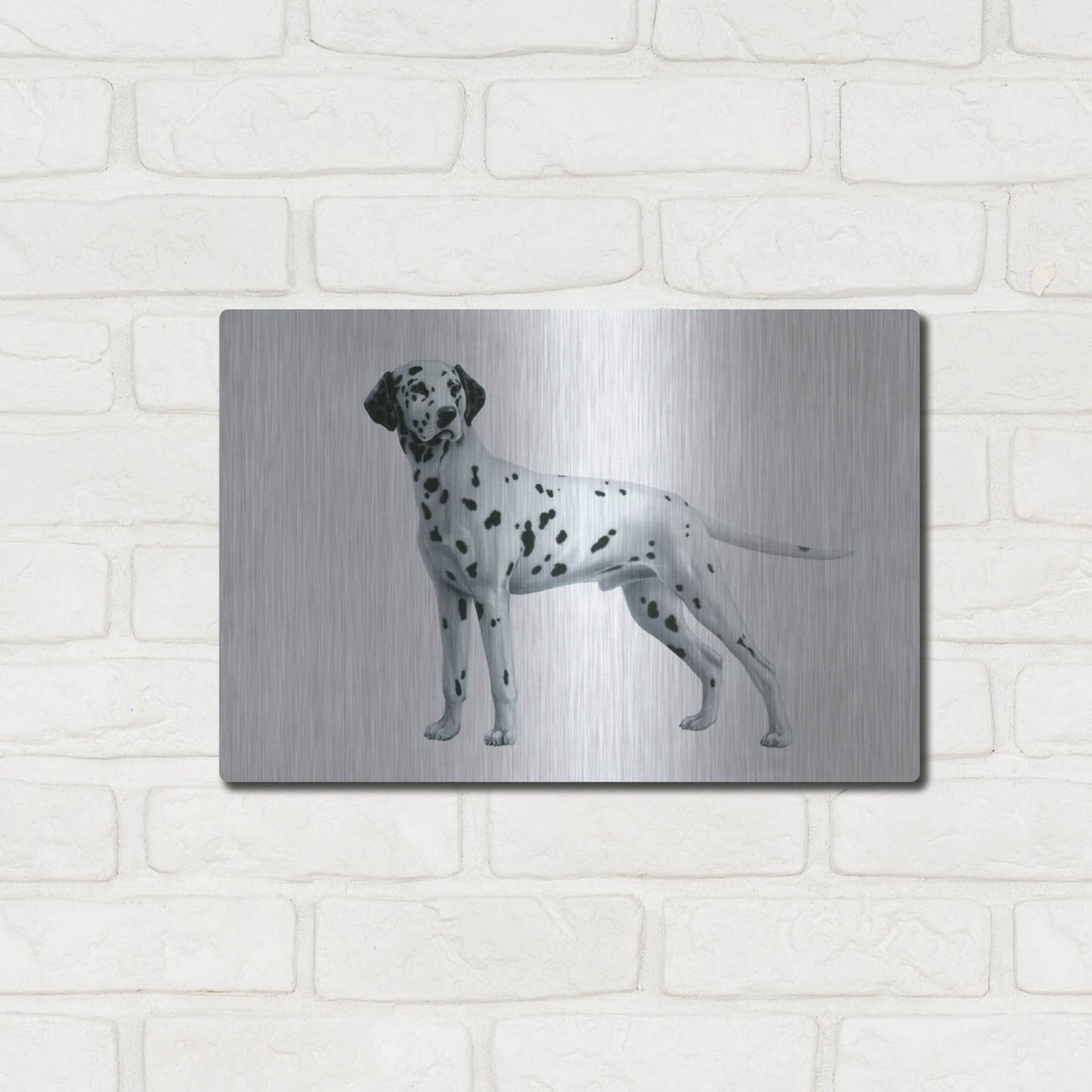 Luxe Metal Art 'Dalmatian' by Harro Maass, Metal Wall Art,16x12