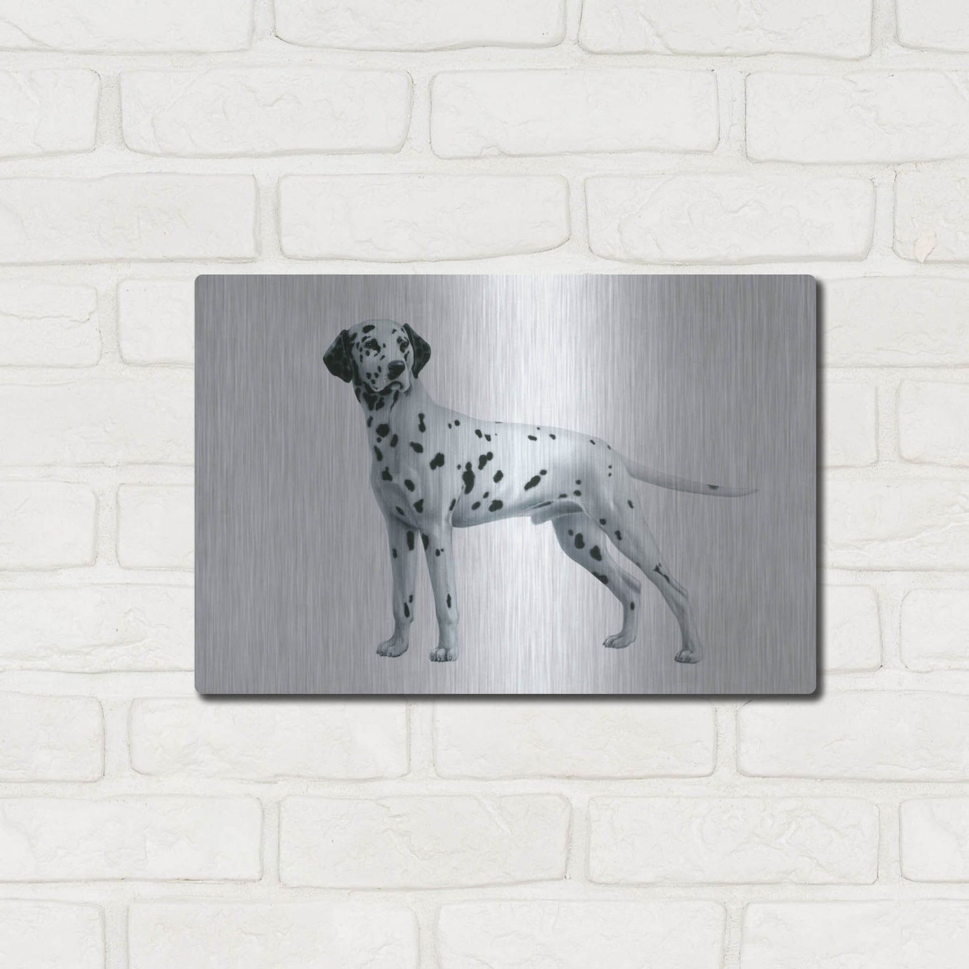 Luxe Metal Art 'Dalmatian' by Harro Maass, Metal Wall Art,16x12