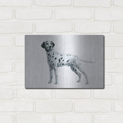 Luxe Metal Art 'Dalmatian' by Harro Maass, Metal Wall Art,16x12