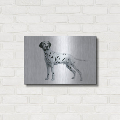 Luxe Metal Art 'Dalmatian' by Harro Maass, Metal Wall Art,24x16