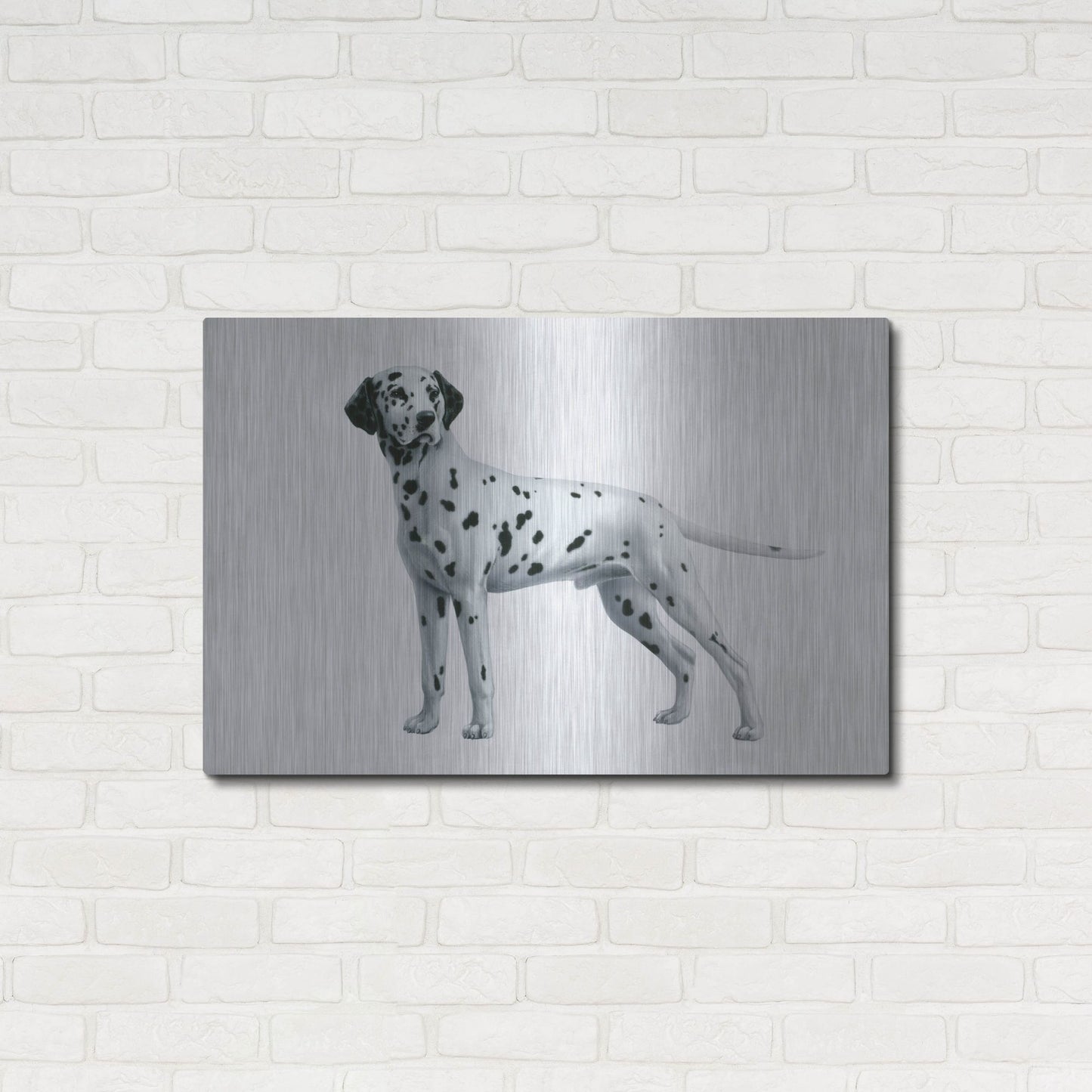 Luxe Metal Art 'Dalmatian' by Harro Maass, Metal Wall Art,36x24