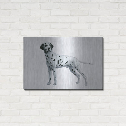 Luxe Metal Art 'Dalmatian' by Harro Maass, Metal Wall Art,36x24
