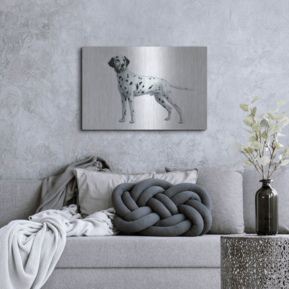 Luxe Metal Art 'Dalmatian' by Harro Maass, Metal Wall Art,36x24
