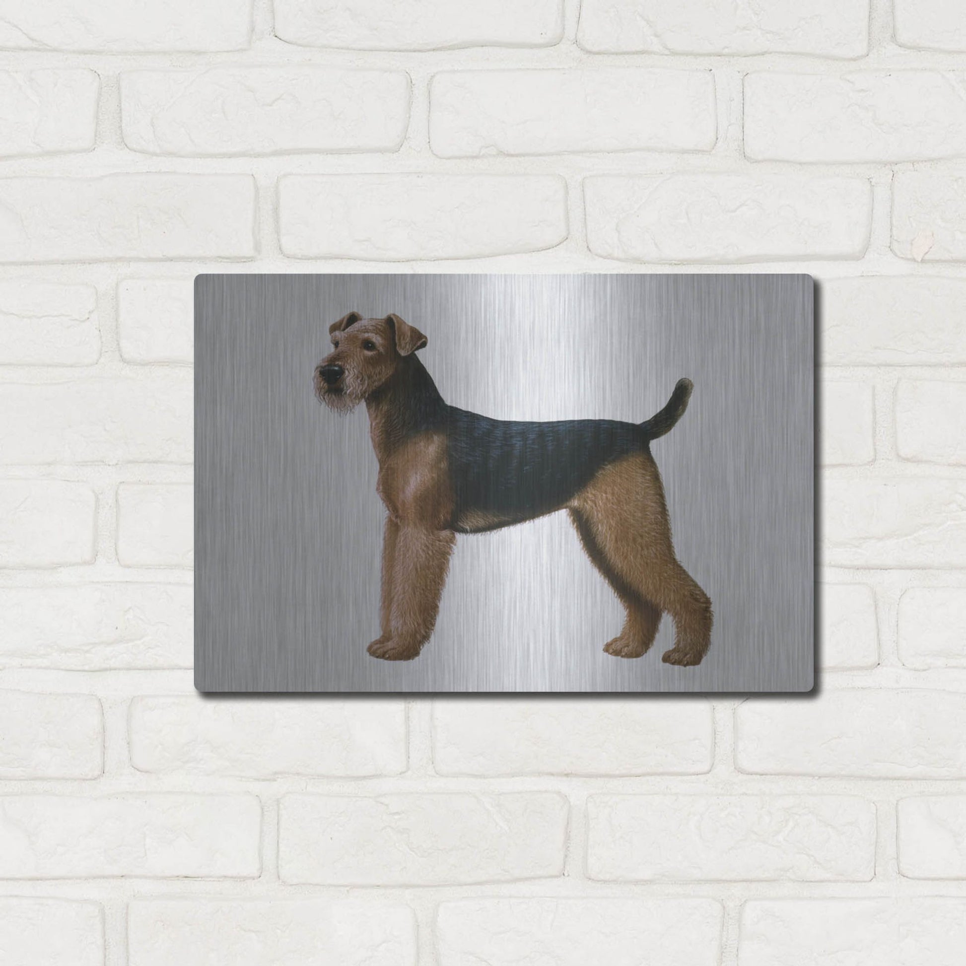 Luxe Metal Art 'Airdale Terrier' by Harro Maass, Metal Wall Art,16x12