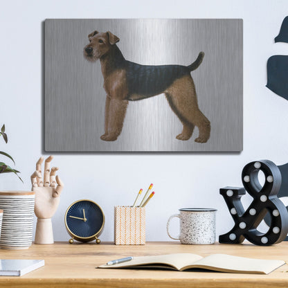 Luxe Metal Art 'Airdale Terrier' by Harro Maass, Metal Wall Art,16x12