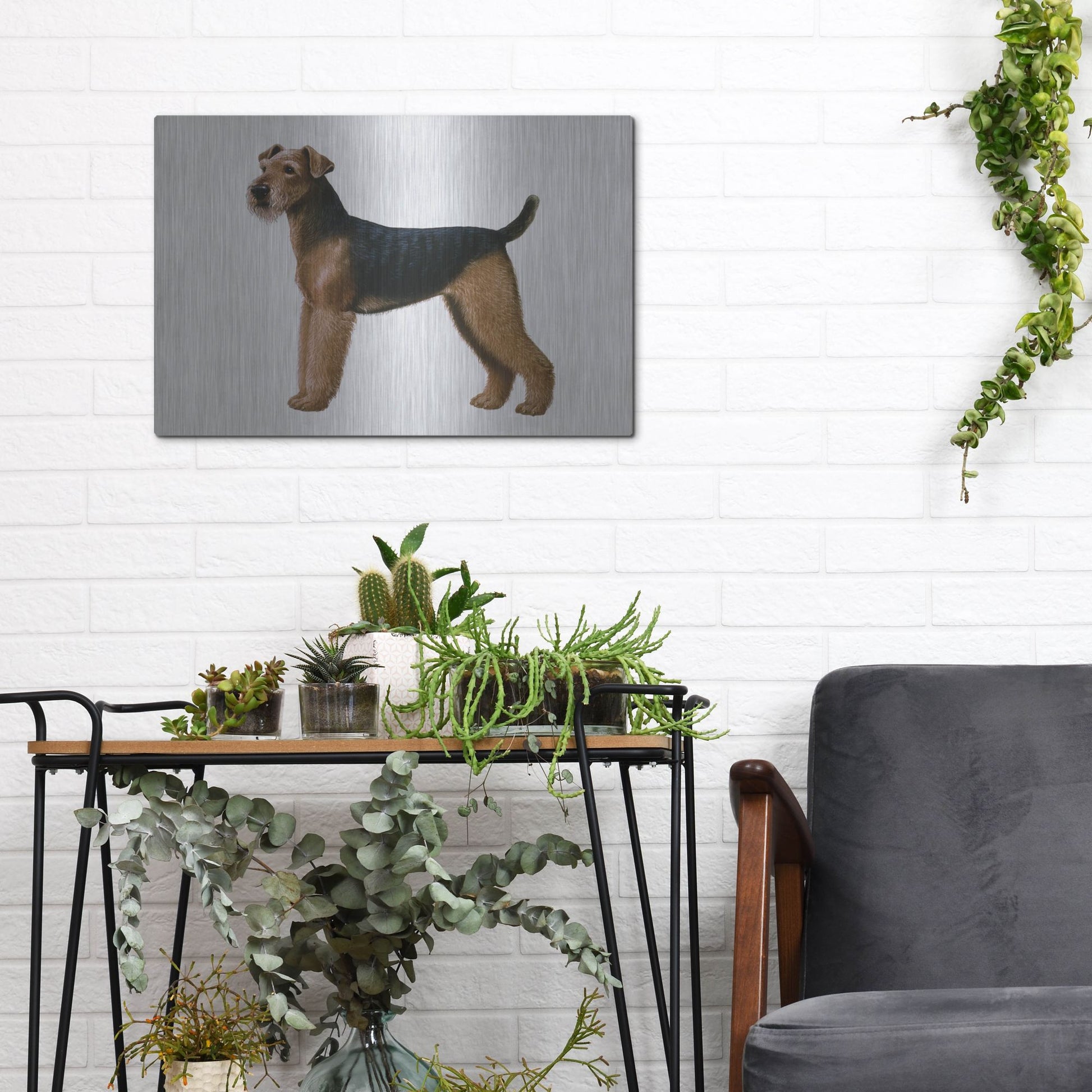 Luxe Metal Art 'Airdale Terrier' by Harro Maass, Metal Wall Art,16x12