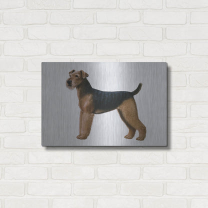 Luxe Metal Art 'Airdale Terrier' by Harro Maass, Metal Wall Art,24x16