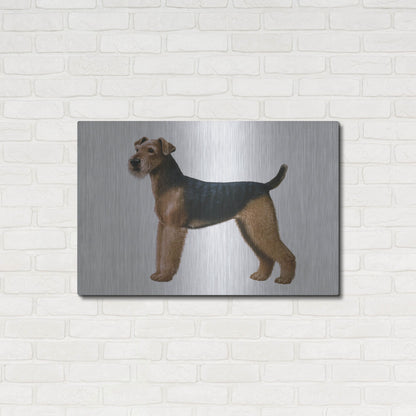 Luxe Metal Art 'Airdale Terrier' by Harro Maass, Metal Wall Art,36x24