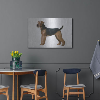Luxe Metal Art 'Airdale Terrier' by Harro Maass, Metal Wall Art,36x24
