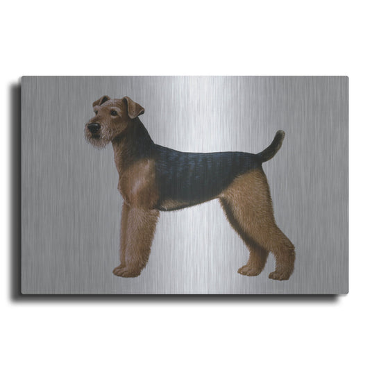 Luxe Metal Art 'Airdale Terrier' by Harro Maass, Metal Wall Art