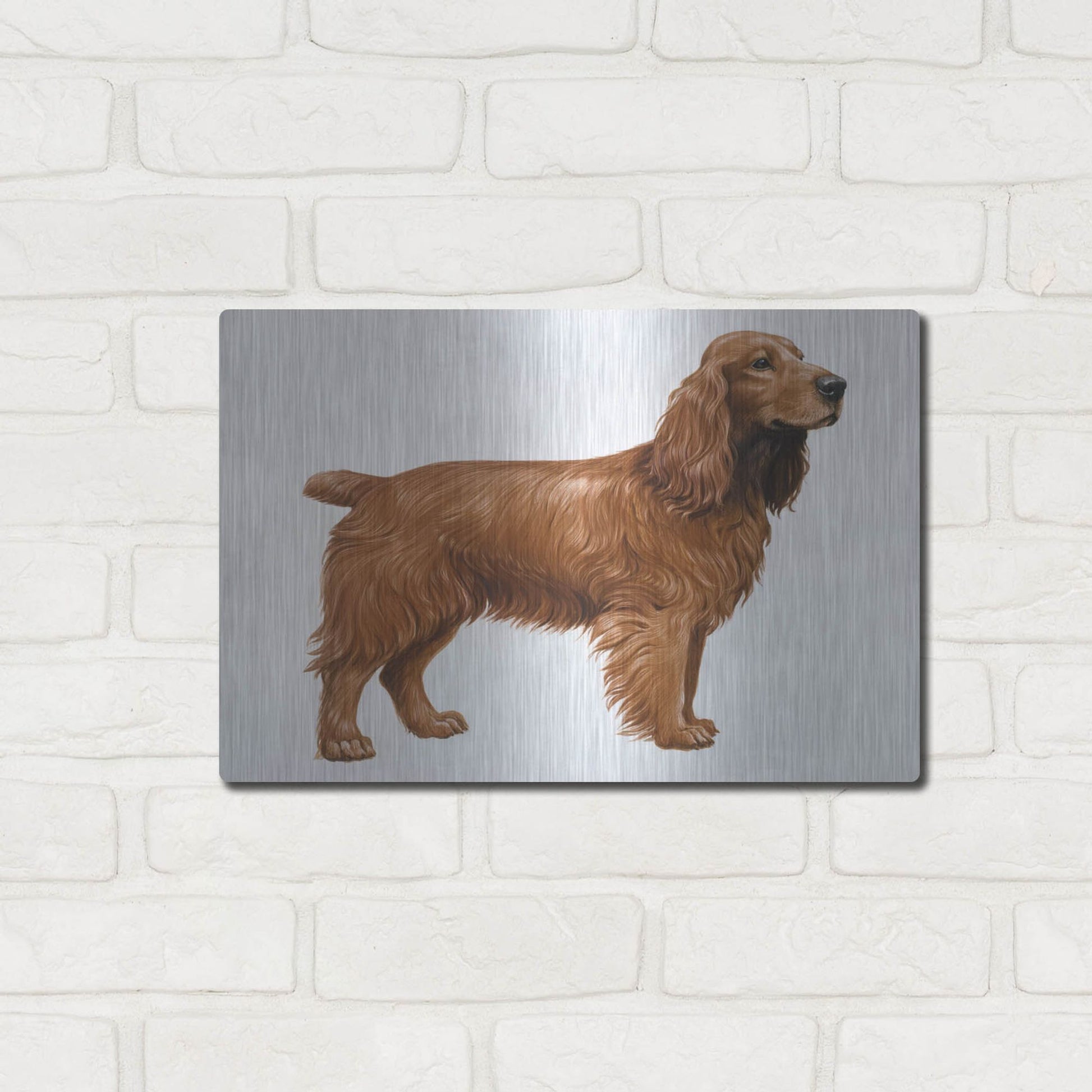 Luxe Metal Art 'Cocker Spaniel' by Harro Maass, Metal Wall Art,16x12