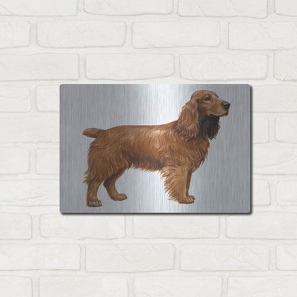 Luxe Metal Art 'Cocker Spaniel' by Harro Maass, Metal Wall Art,16x12