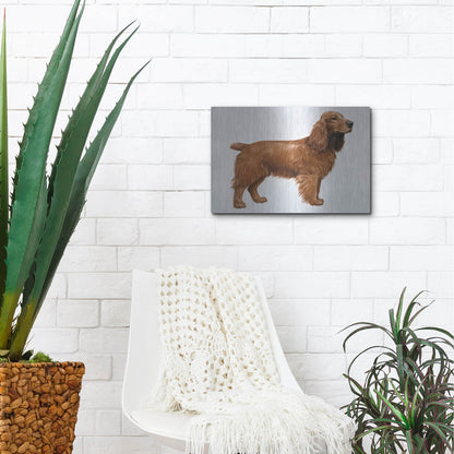 Luxe Metal Art 'Cocker Spaniel' by Harro Maass, Metal Wall Art,16x12
