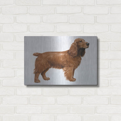 Luxe Metal Art 'Cocker Spaniel' by Harro Maass, Metal Wall Art,24x16