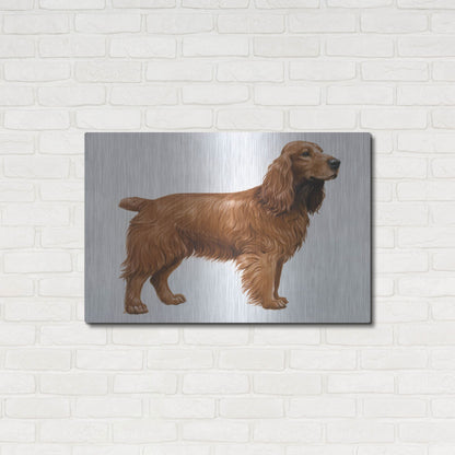 Luxe Metal Art 'Cocker Spaniel' by Harro Maass, Metal Wall Art,36x24