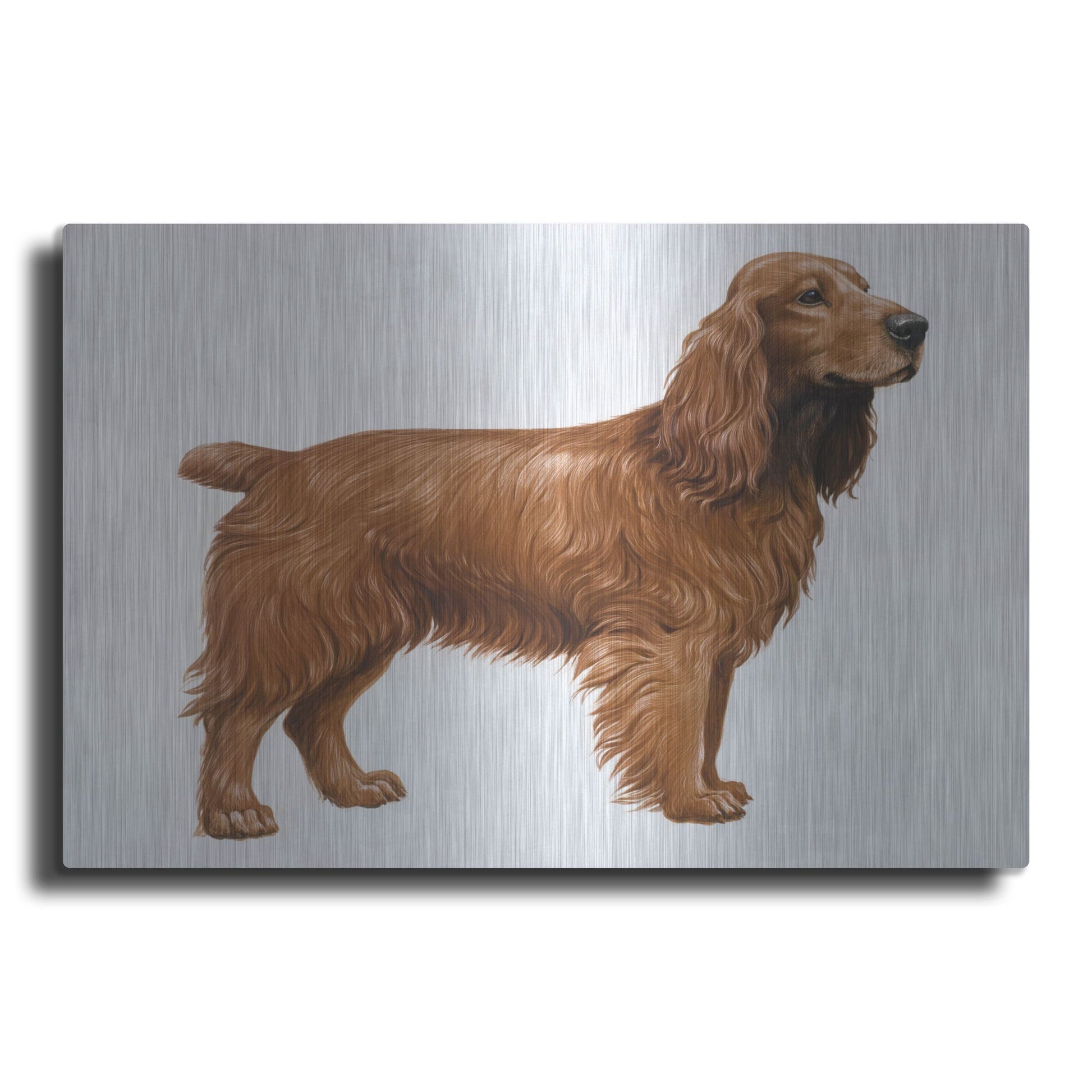 Luxe Metal Art 'Cocker Spaniel' by Harro Maass, Metal Wall Art
