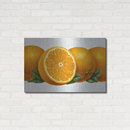 Luxe Metal Art 'Oranges' by Harro Maass, Metal Wall Art,36x24
