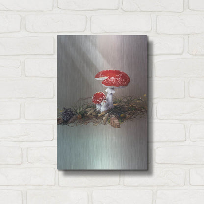 Luxe Metal Art 'Mushrooms' by Harro Maass, Metal Wall Art,12x16
