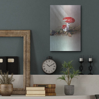 Luxe Metal Art 'Mushrooms' by Harro Maass, Metal Wall Art,12x16