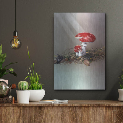 Luxe Metal Art 'Mushrooms' by Harro Maass, Metal Wall Art,12x16