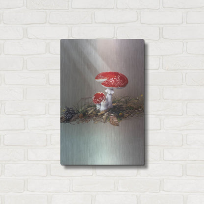Luxe Metal Art 'Mushrooms' by Harro Maass, Metal Wall Art,16x24
