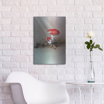 Luxe Metal Art 'Mushrooms' by Harro Maass, Metal Wall Art,16x24