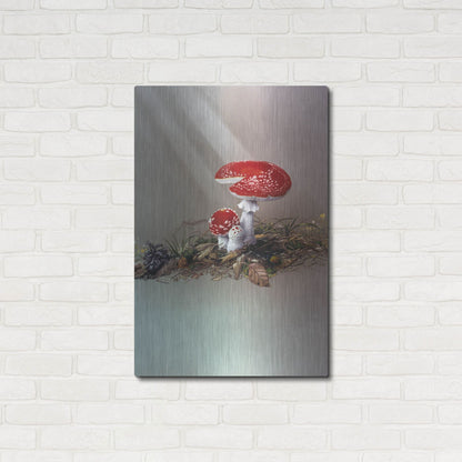 Luxe Metal Art 'Mushrooms' by Harro Maass, Metal Wall Art,24x36