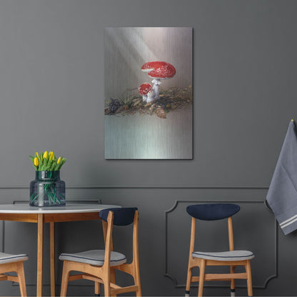 Luxe Metal Art 'Mushrooms' by Harro Maass, Metal Wall Art,24x36