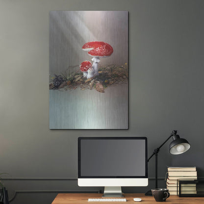 Luxe Metal Art 'Mushrooms' by Harro Maass, Metal Wall Art,24x36