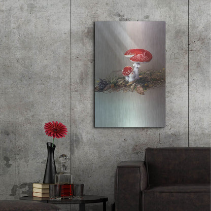 Luxe Metal Art 'Mushrooms' by Harro Maass, Metal Wall Art,24x36