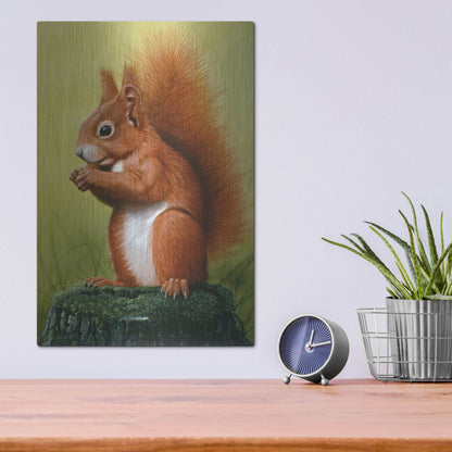 Luxe Metal Art 'Red Squirrel' by Harro Maass, Metal Wall Art,12x16