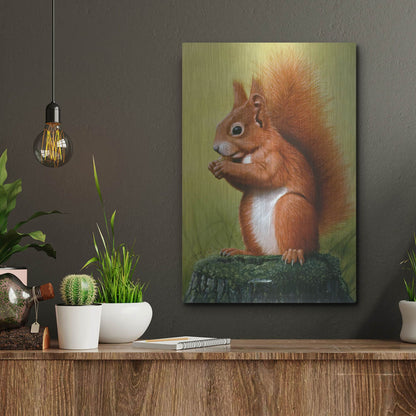 Luxe Metal Art 'Red Squirrel' by Harro Maass, Metal Wall Art,12x16