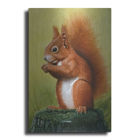 Luxe Metal Art 'Red Squirrel' by Harro Maass, Metal Wall Art