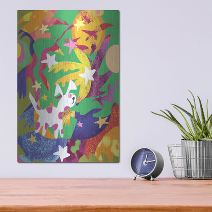 Luxe Metal Art 'Dog And Stars With Abstract Background' by Holly McGee, Metal Wall Art,12x16