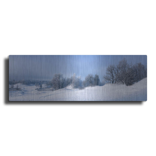 Luxe Metal Art 'Panorama Winter Dunes' by Istvan Nagy, Metal Wall Art