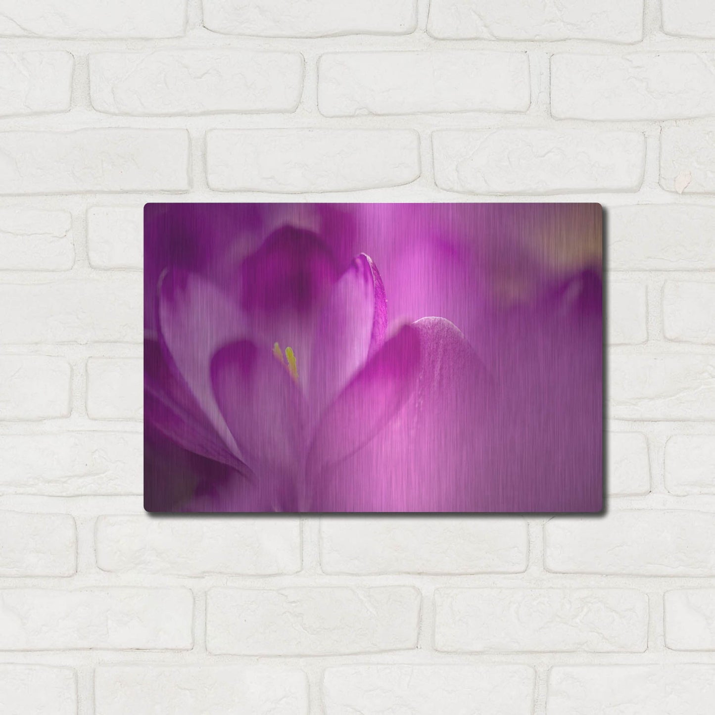 Luxe Metal Art 'Purple Flower Study' by Istvan Nagy, Metal Wall Art,16x12