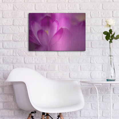 Luxe Metal Art 'Purple Flower Study' by Istvan Nagy, Metal Wall Art,24x16