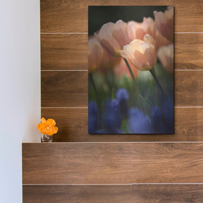 Luxe Metal Art 'Tulip No 1' by Istvan Nagy, Metal Wall Art,12x16