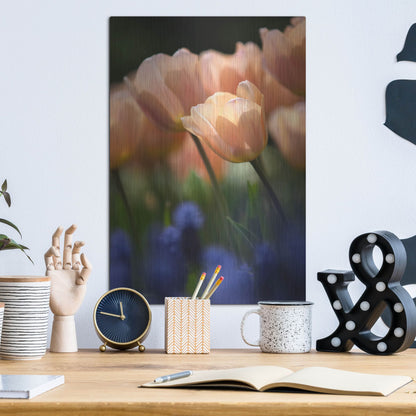 Luxe Metal Art 'Tulip No 1' by Istvan Nagy, Metal Wall Art,12x16