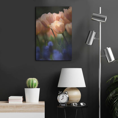 Luxe Metal Art 'Tulip No 1' by Istvan Nagy, Metal Wall Art,16x24