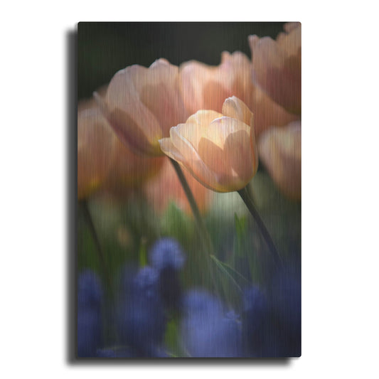 Luxe Metal Art 'Tulip No 1' by Istvan Nagy, Metal Wall Art