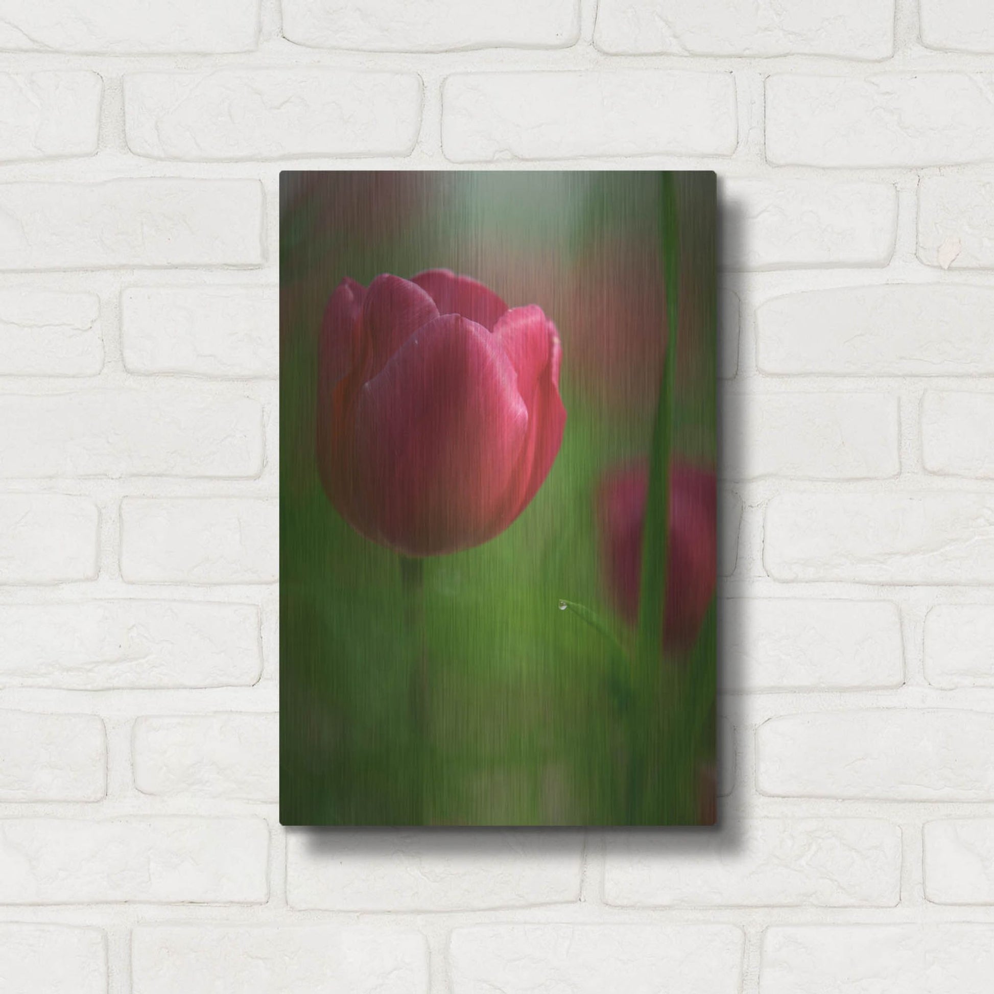 Luxe Metal Art 'Tulip No 2' by Istvan Nagy, Metal Wall Art,12x16