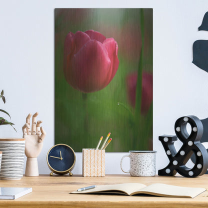 Luxe Metal Art 'Tulip No 2' by Istvan Nagy, Metal Wall Art,12x16