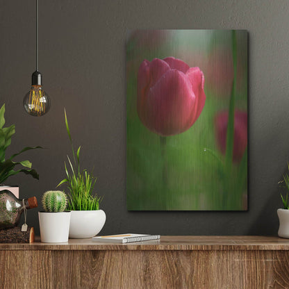 Luxe Metal Art 'Tulip No 2' by Istvan Nagy, Metal Wall Art,12x16